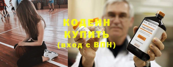 ПСИЛОЦИБИНОВЫЕ ГРИБЫ Горняк