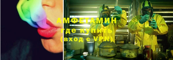 шишки Вязьма