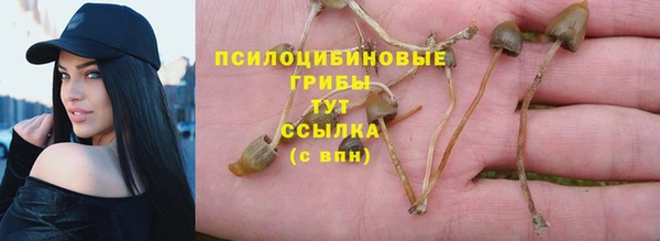 ПСИЛОЦИБИНОВЫЕ ГРИБЫ Горняк