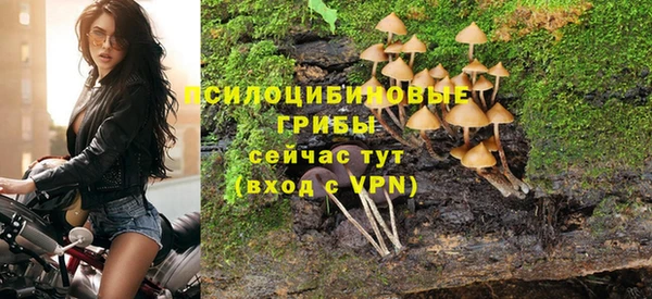 ПСИЛОЦИБИНОВЫЕ ГРИБЫ Горняк