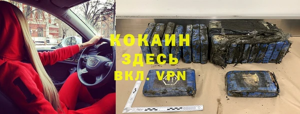 шишки Вязьма