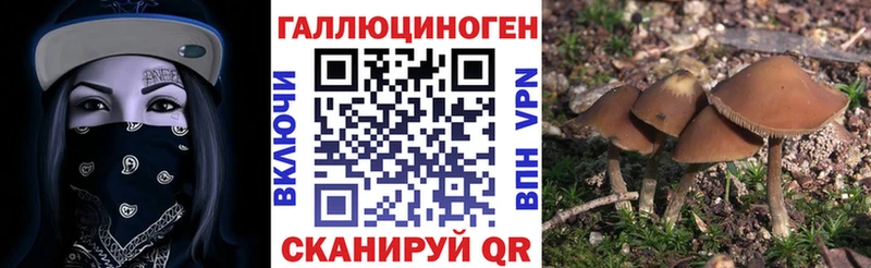 KRAKEN ONION  Зверево  Галлюциногенные грибы Psilocybe  цена  