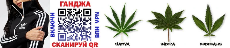 как найти наркотики  Зверево  MEGA   Канабис THC 21% 